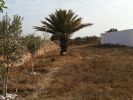 Vente Terrain Essaouira Nouvelle ville 1700 m2