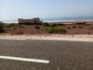 Vente Terrain Essaouira  2000 m2