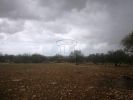 For sale Land Essaouira Arriere pays