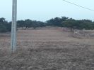 For sale Land Essaouira Arriere pays 5000 m2